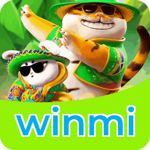 Interface winmi