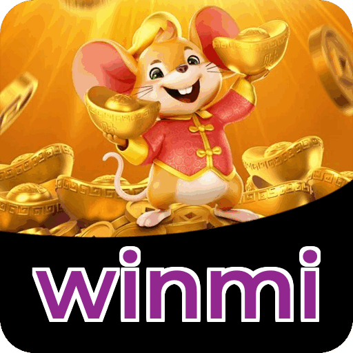 Métodos de pagamento aceitos na winmi